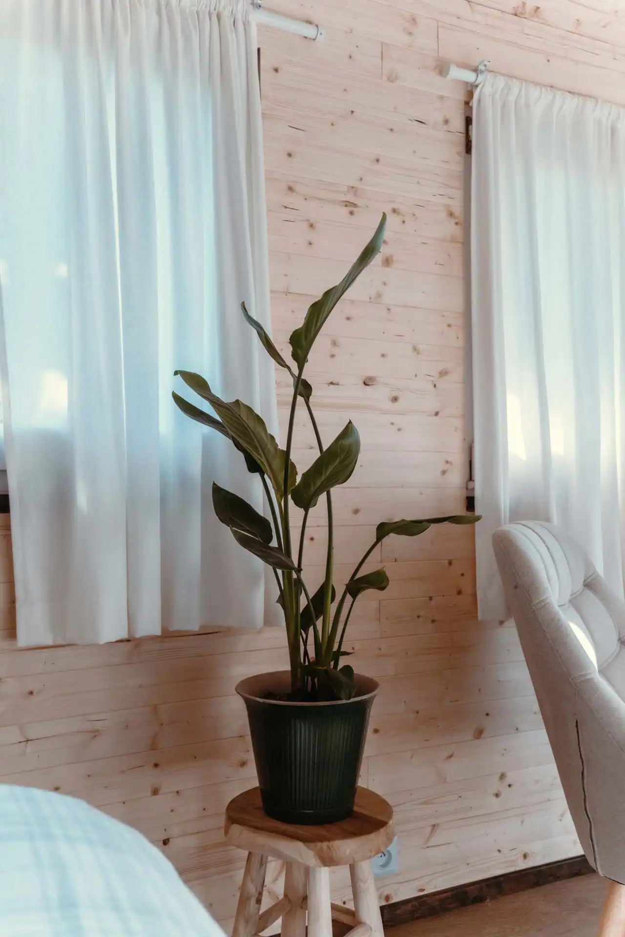 Cabane Félicie en bois - Logement insolite à Saint-Hubert en Belgique