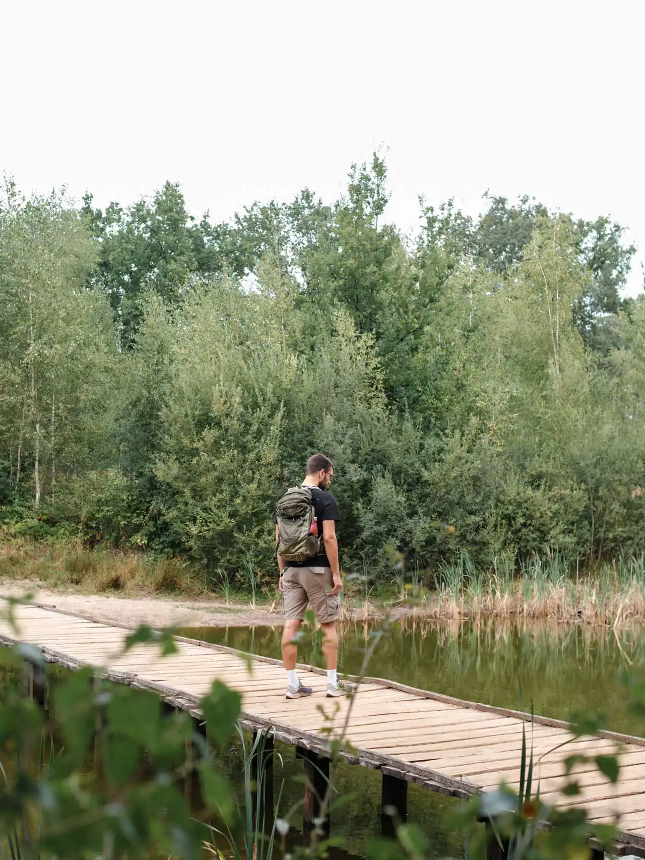 Randonnée dans la réserve naturelle d'Averbode Bos & Heide en Belgique