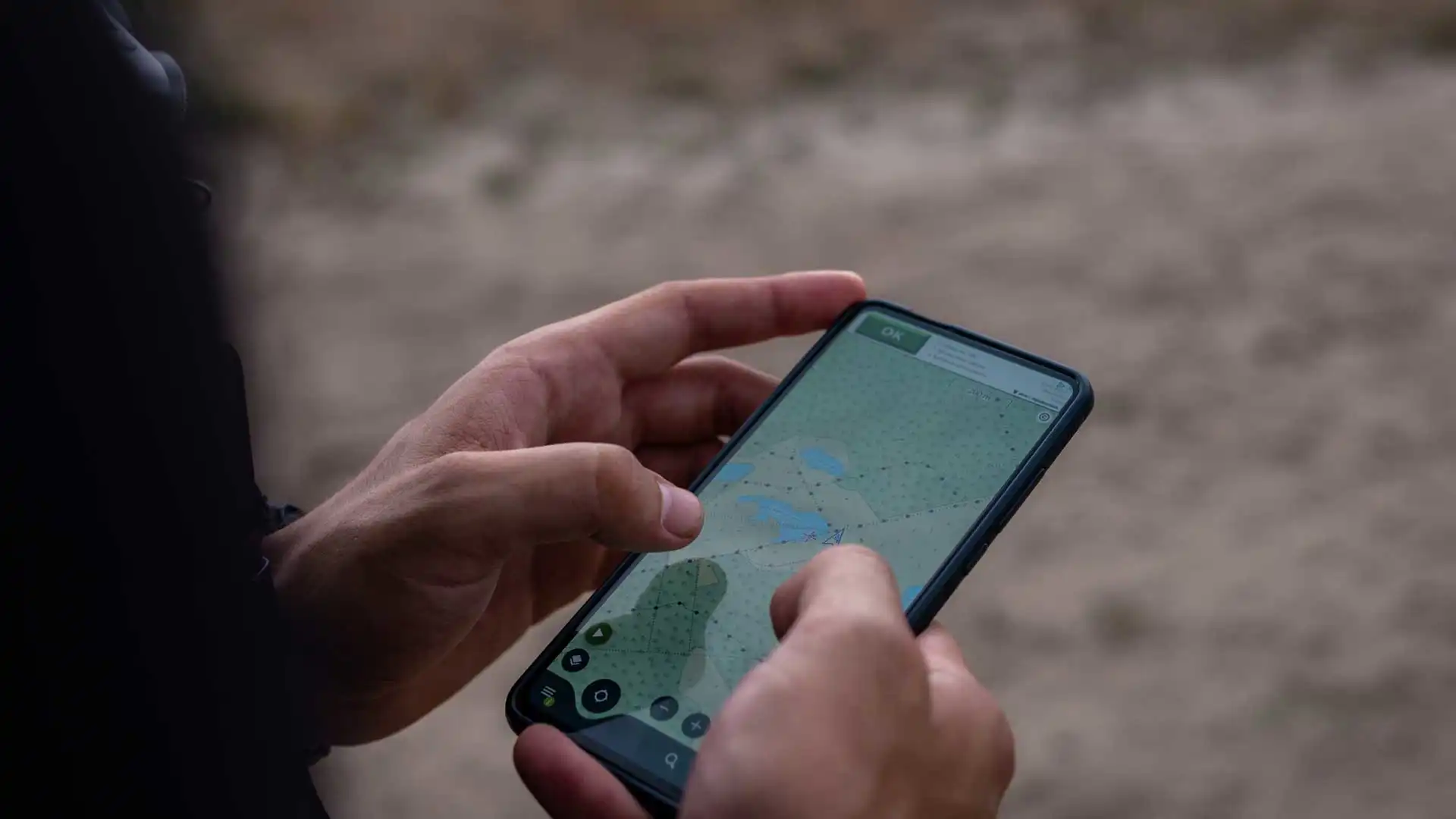 Randonnée dans la réserve naturelle d'Averbode Bos & Heide en Belgique