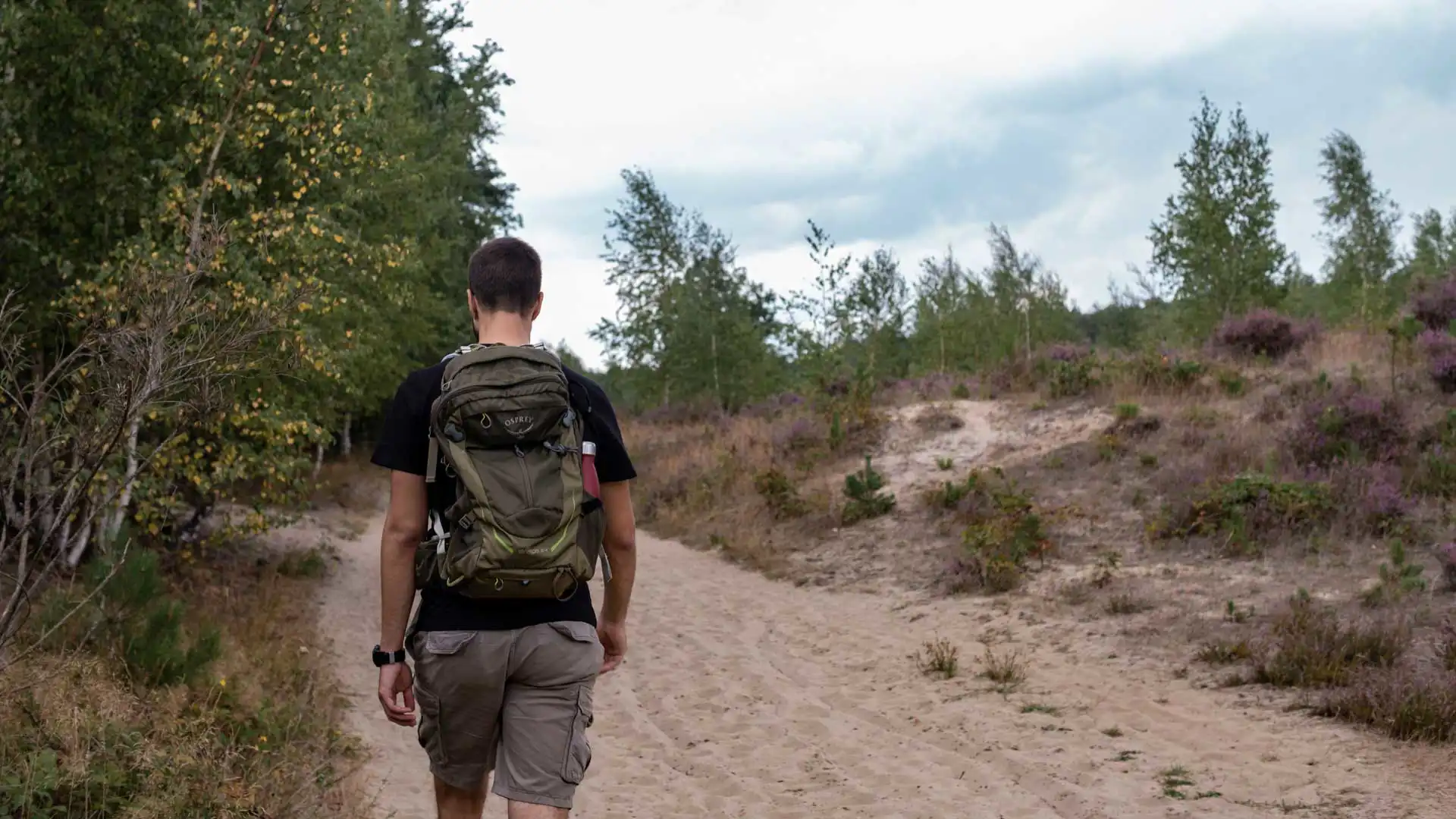 Randonnée dans la réserve naturelle d'Averbode Bos & Heide en Belgique