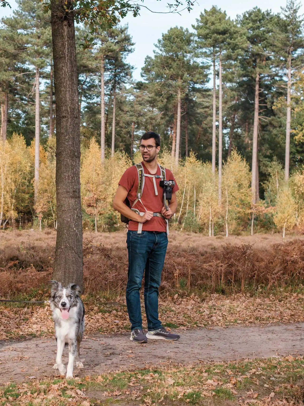 Border Collie et son maitre à Averbode