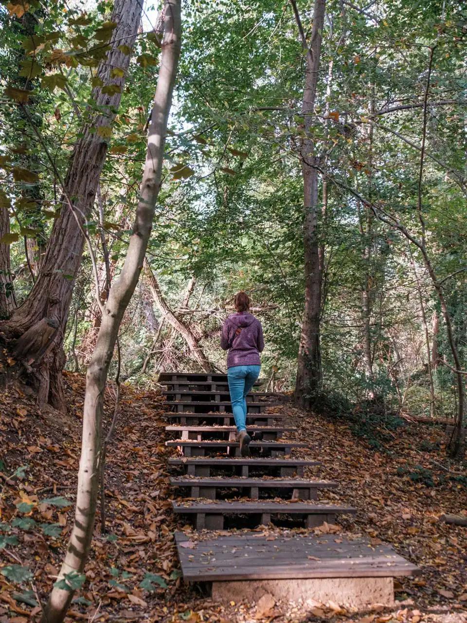 Wolfsputten, Randonnée à Dilbeek