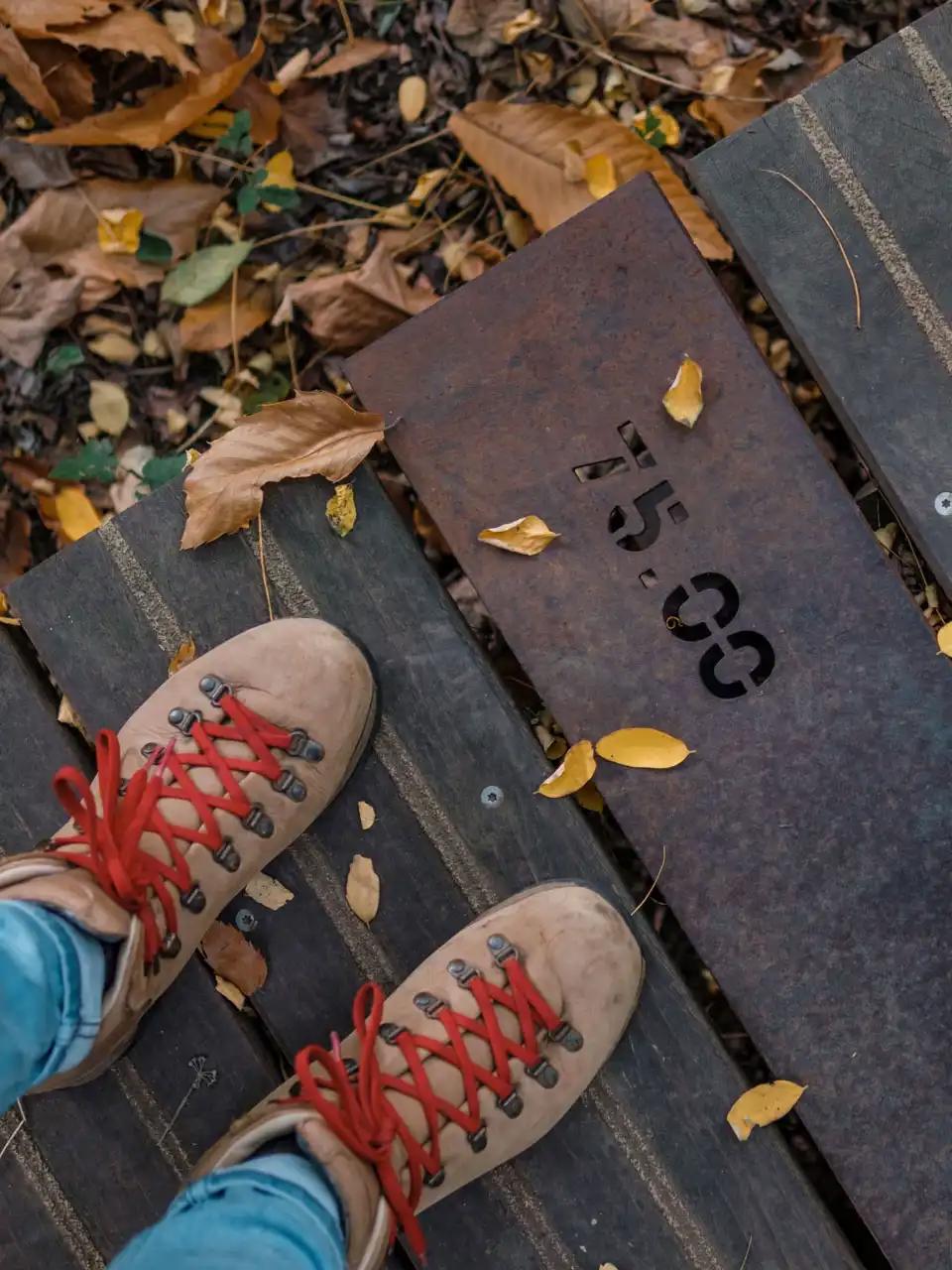 Wolfsputten, Randonnée à Dilbeek