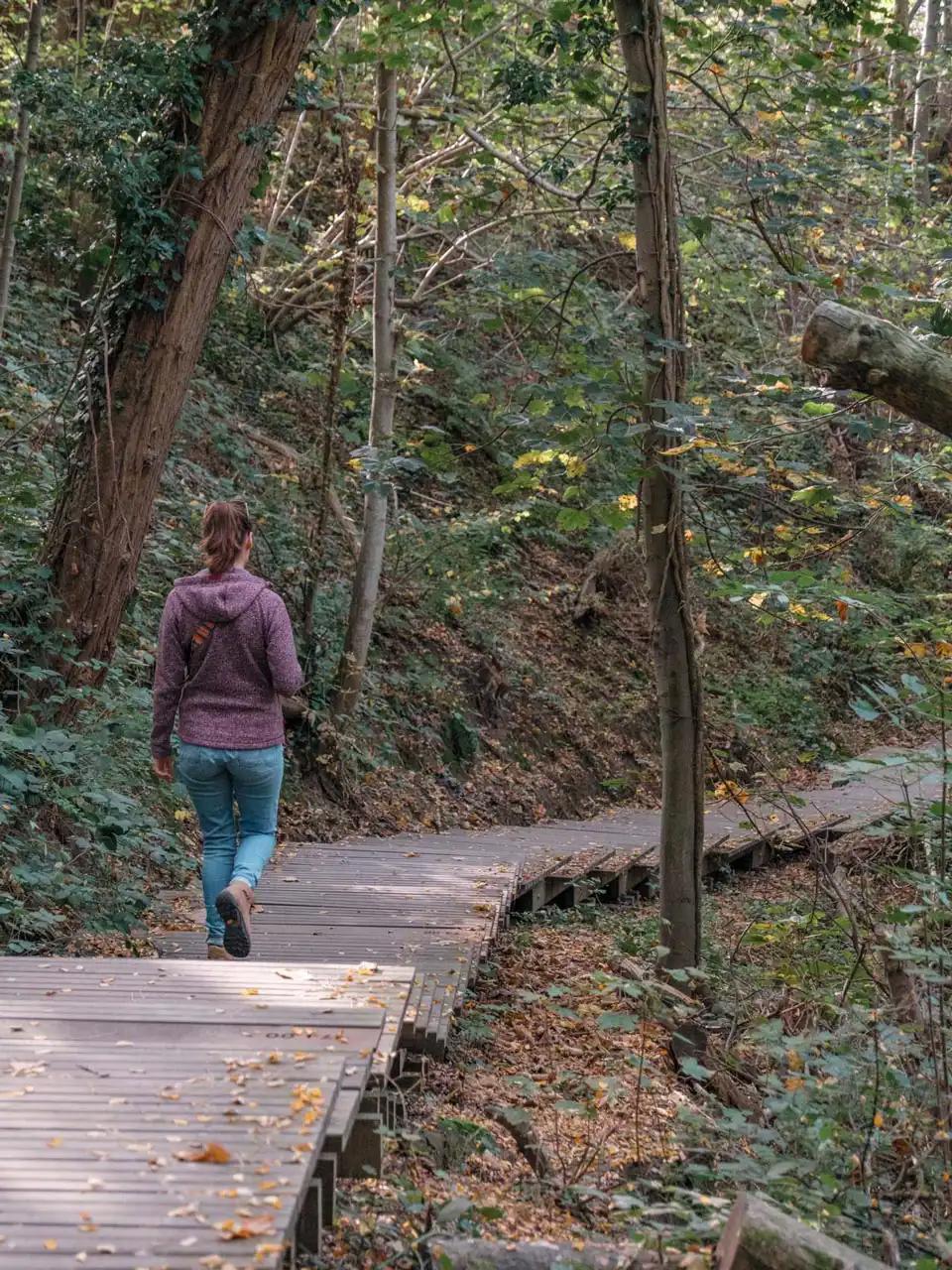 Wolfsputten, Randonnée à Dilbeek