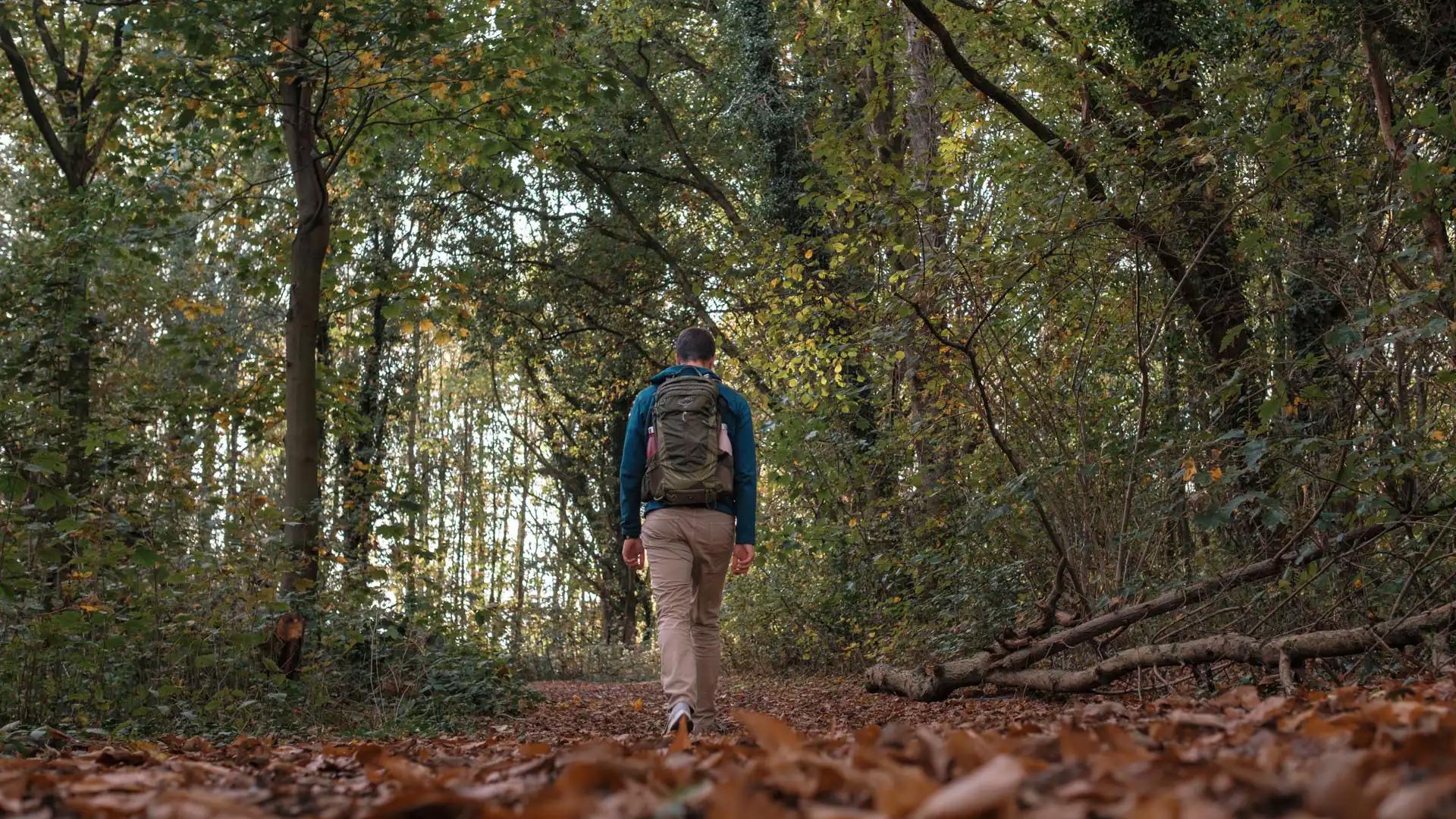 Wolfsputten, Randonnée à Dilbeek