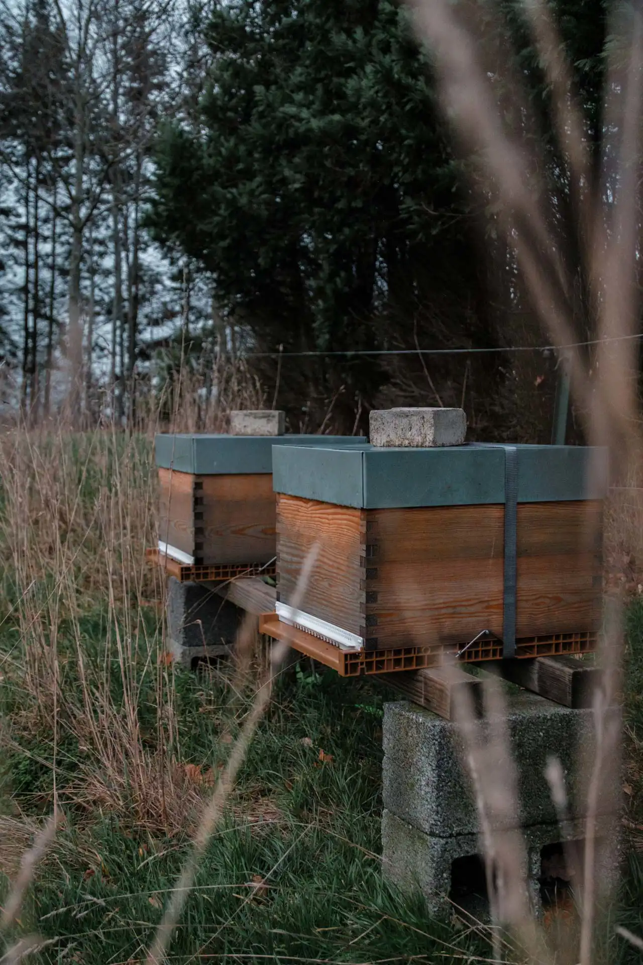 Tiny House La Ruche Brabant Wallon – Ruche en bois Nature