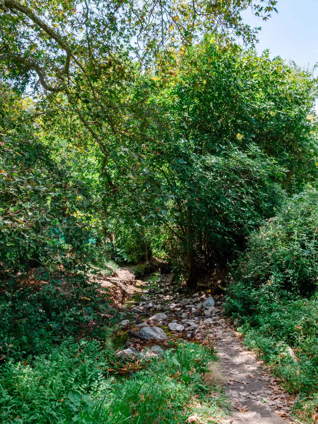 Gorges de Richtis, Crète de l'Est