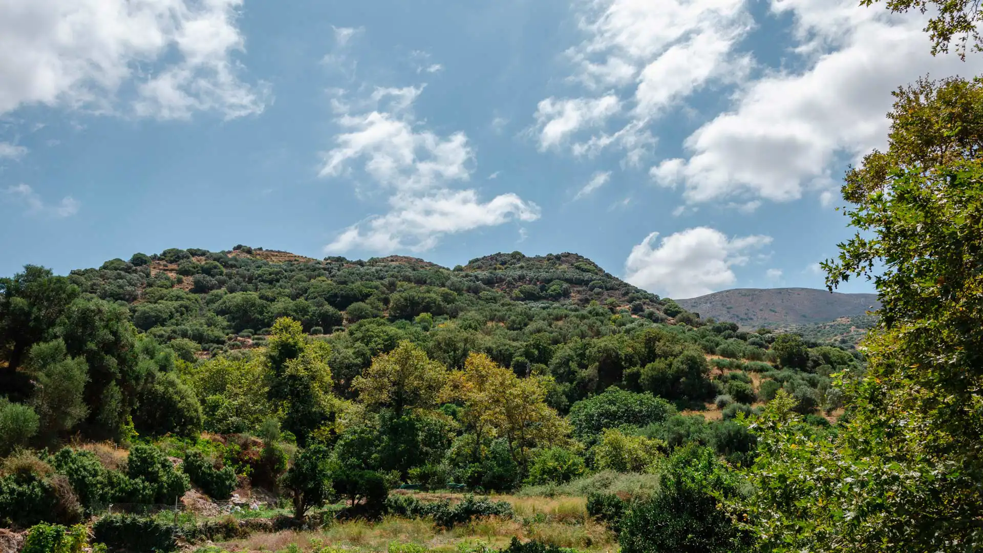 Gorges de Richtis, Crète de l'Est