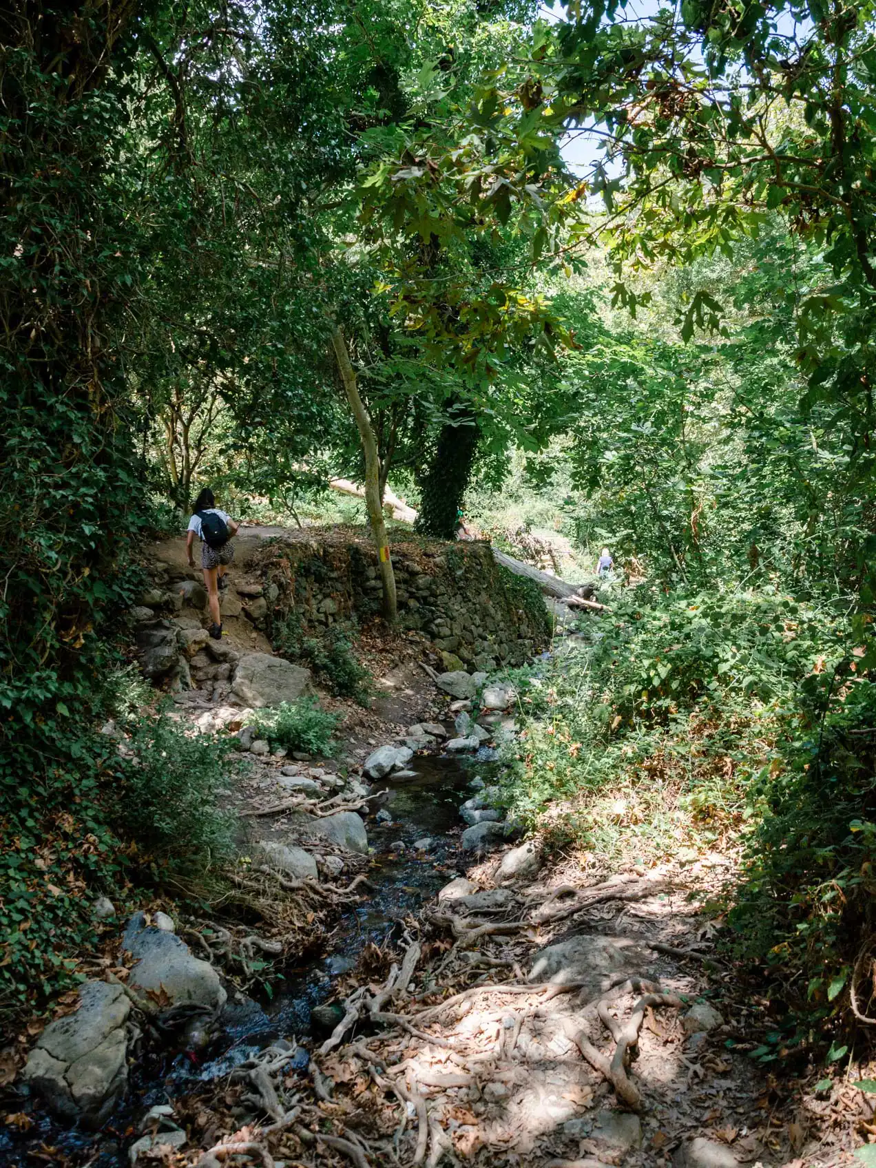 Gorges de Richis, Crète de l'Est