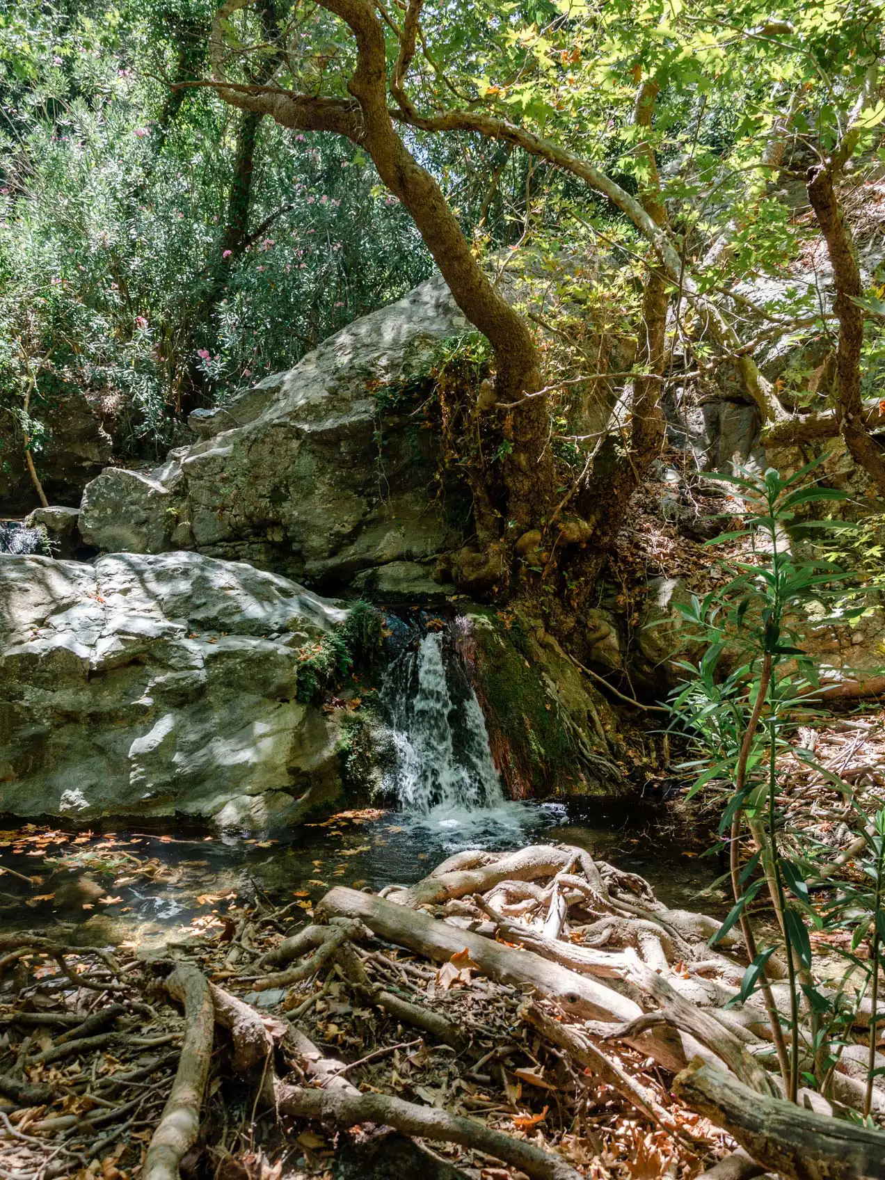 Gorges de Richis, Crète de l'Est