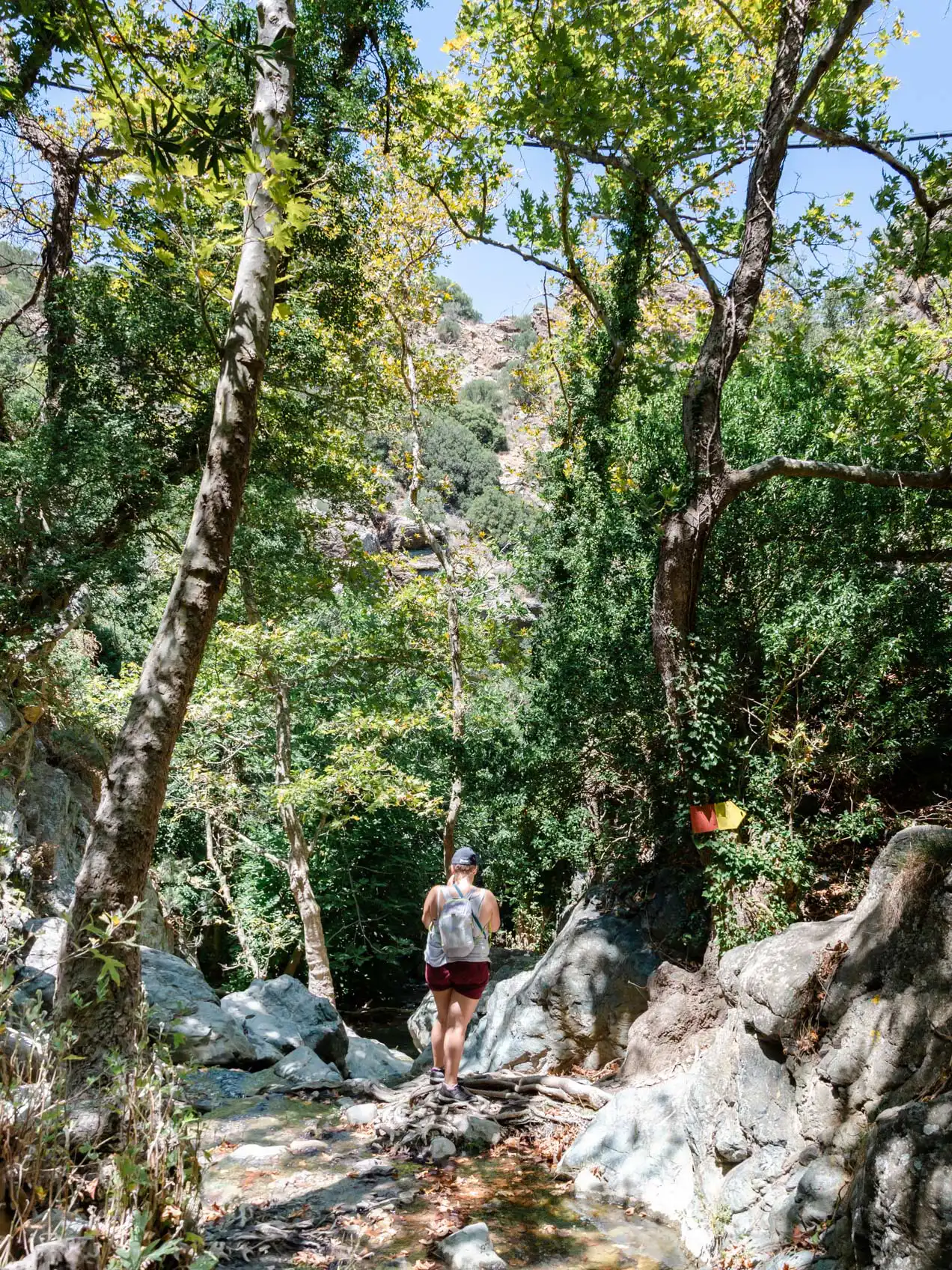 Gorges de Richis, Crète de l'Est