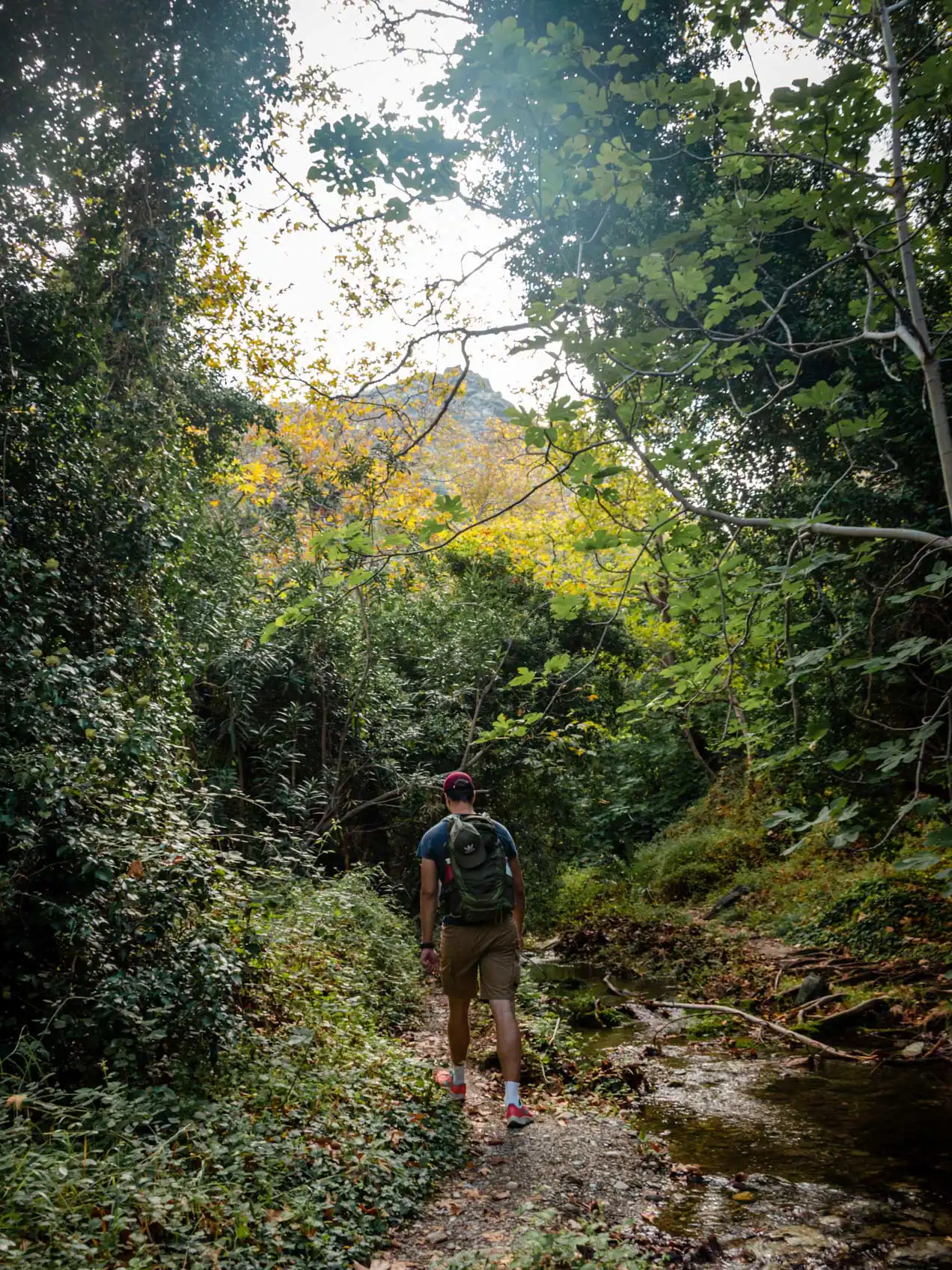 Gorges de Richis, Crète de l'Est
