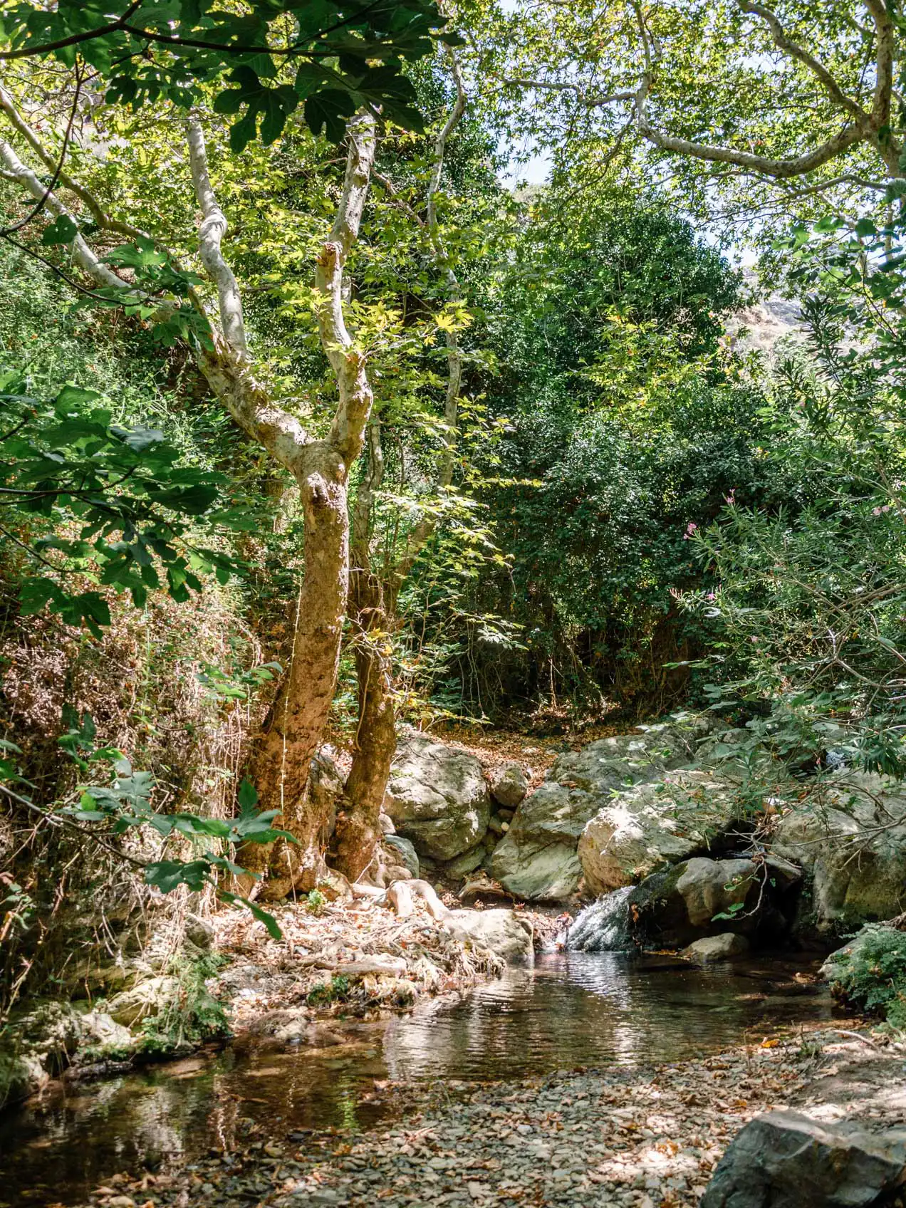 Gorges de Richis, Crète de l'Est
