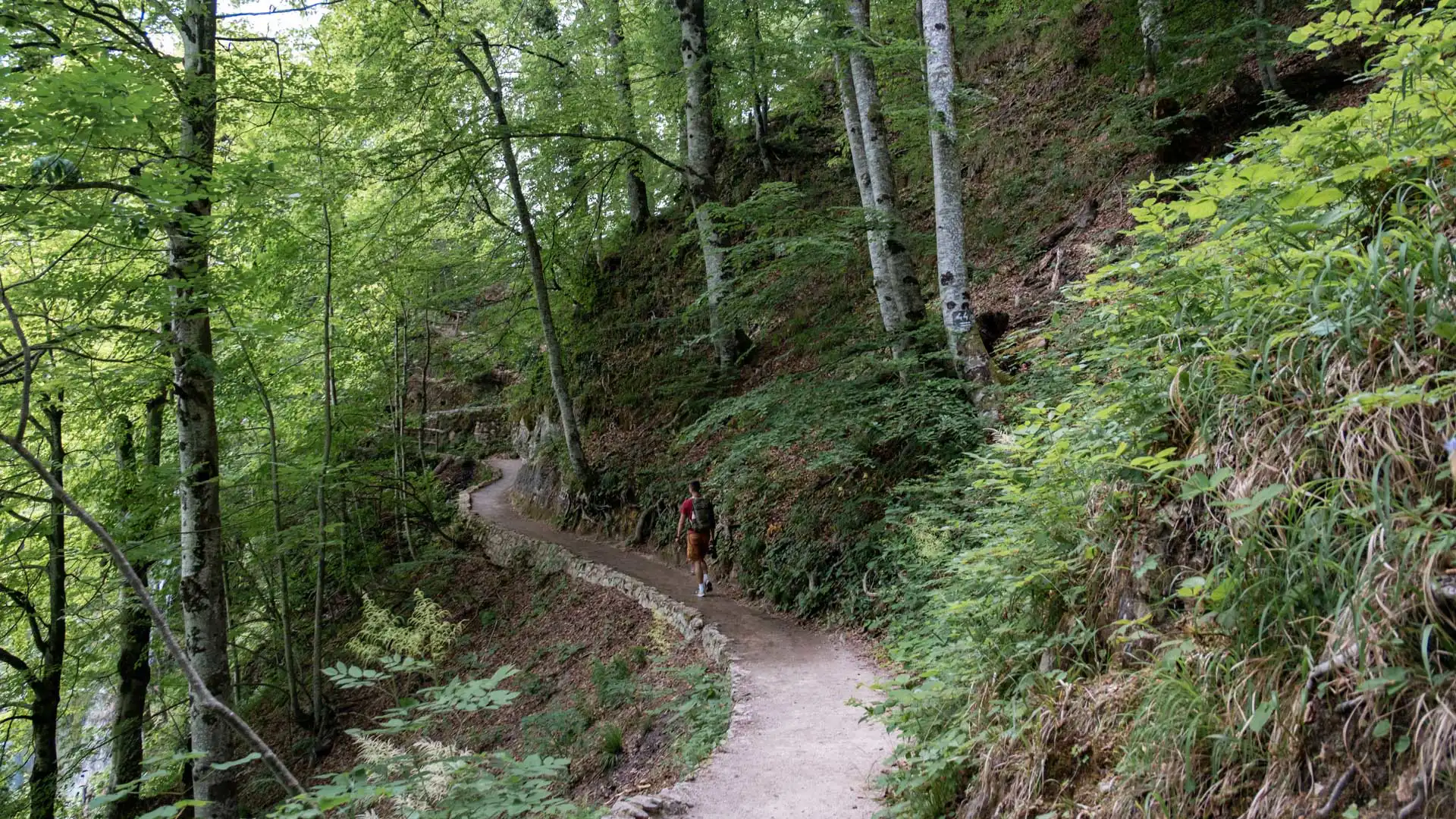 Parc National des Lacs de Plitvice en Croatie