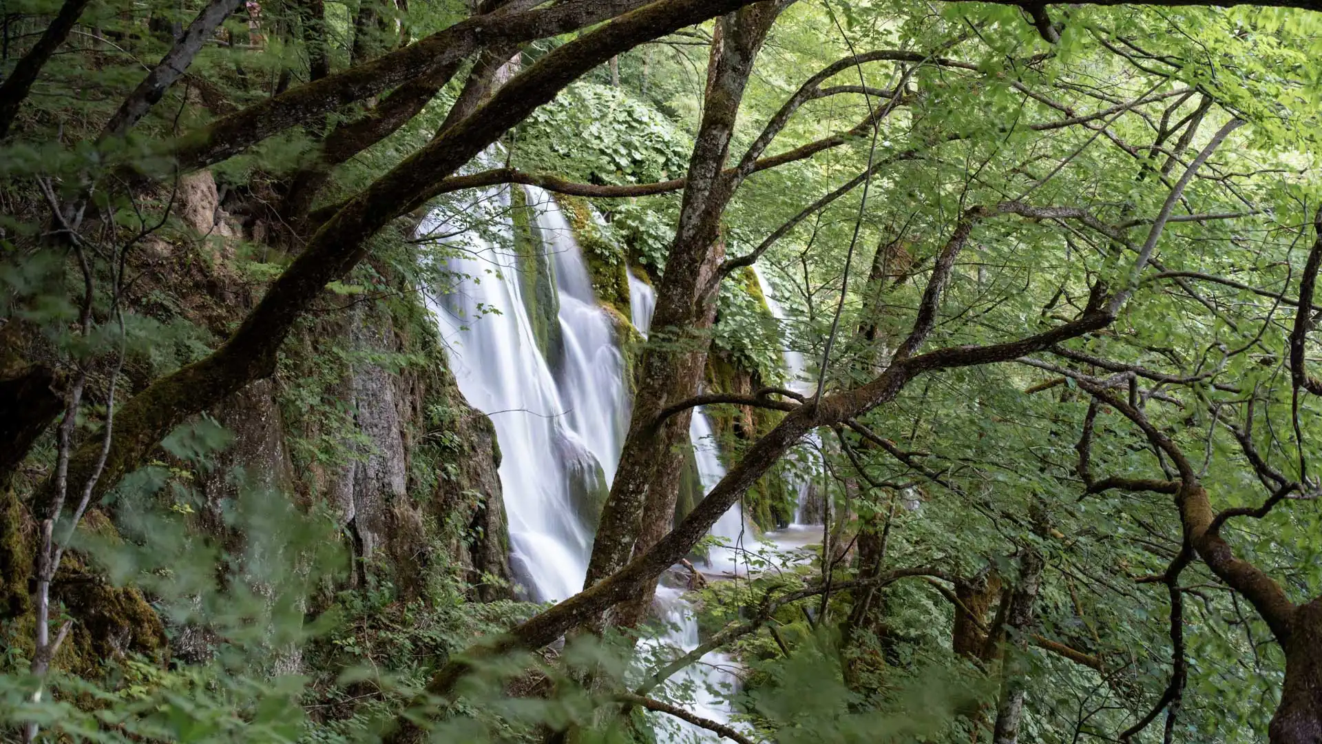 Parc National des Lacs de Plitvice en Croatie