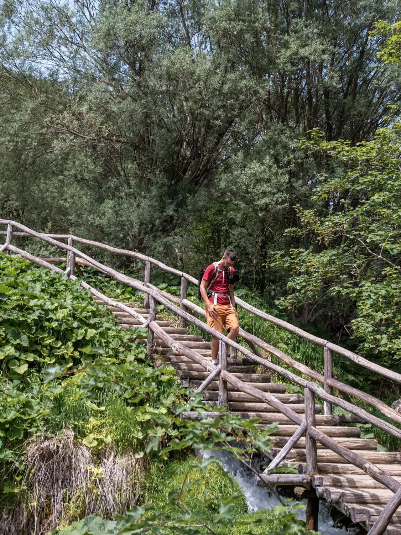 Parc National des Lacs de Plitvice en Croatie