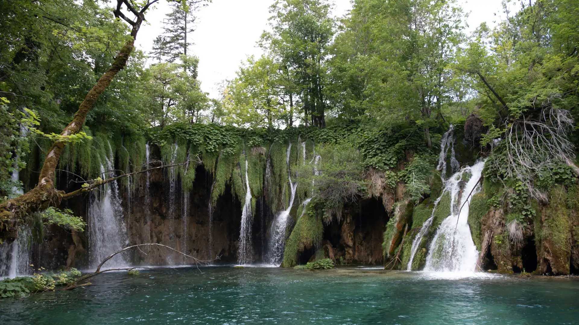 Parc National des Lacs de Plitvice en Croatie