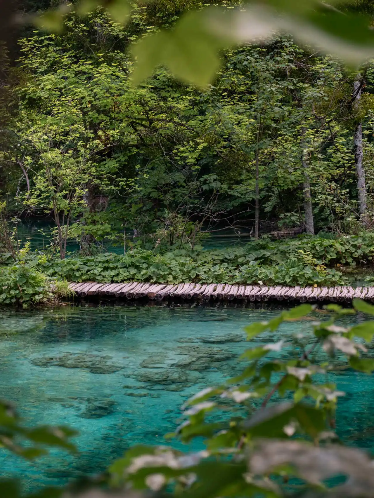 Parc National des Lacs de Plitvice en Croatie