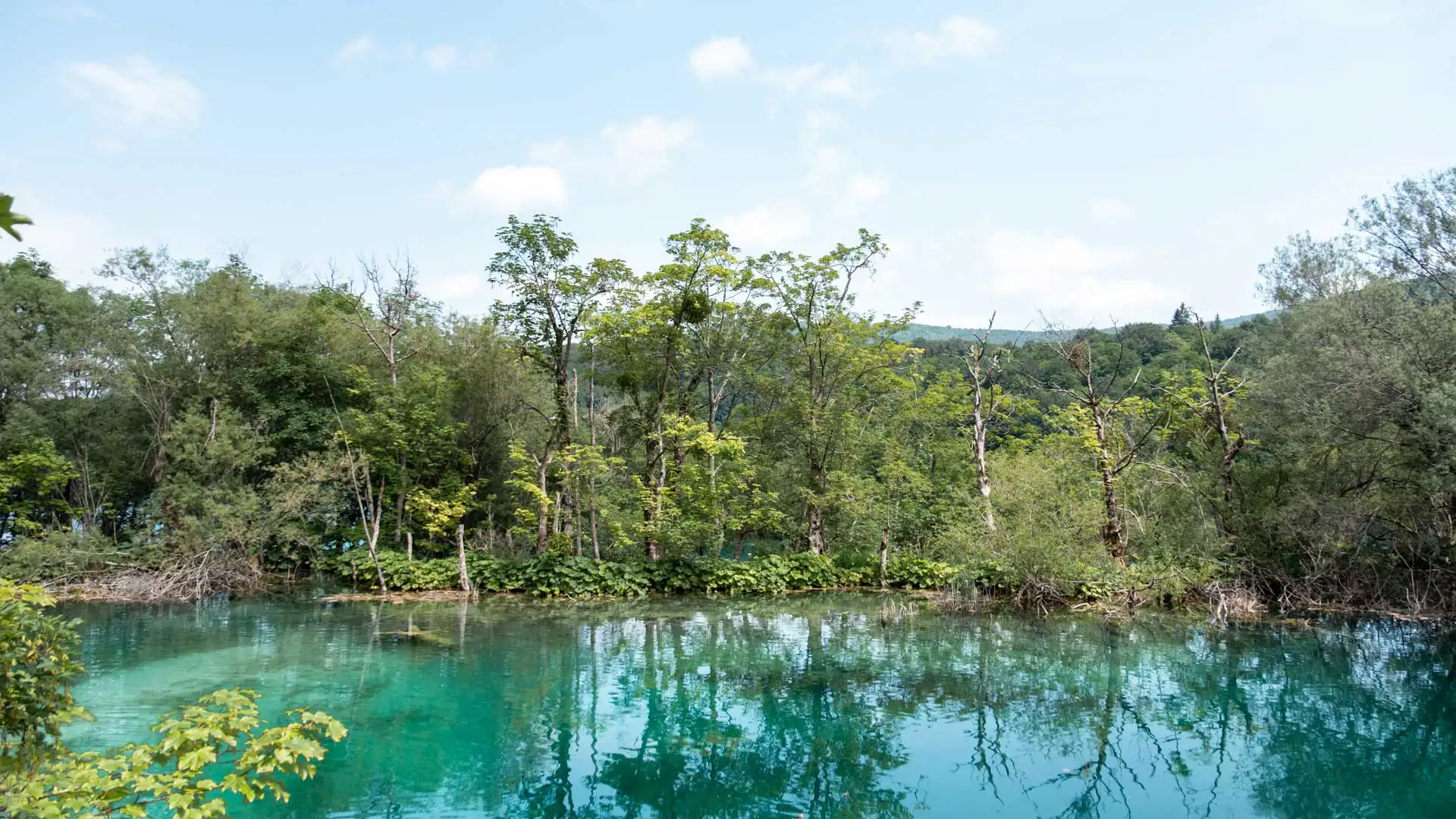 Parc National des Lacs de Plitvice en Croatie