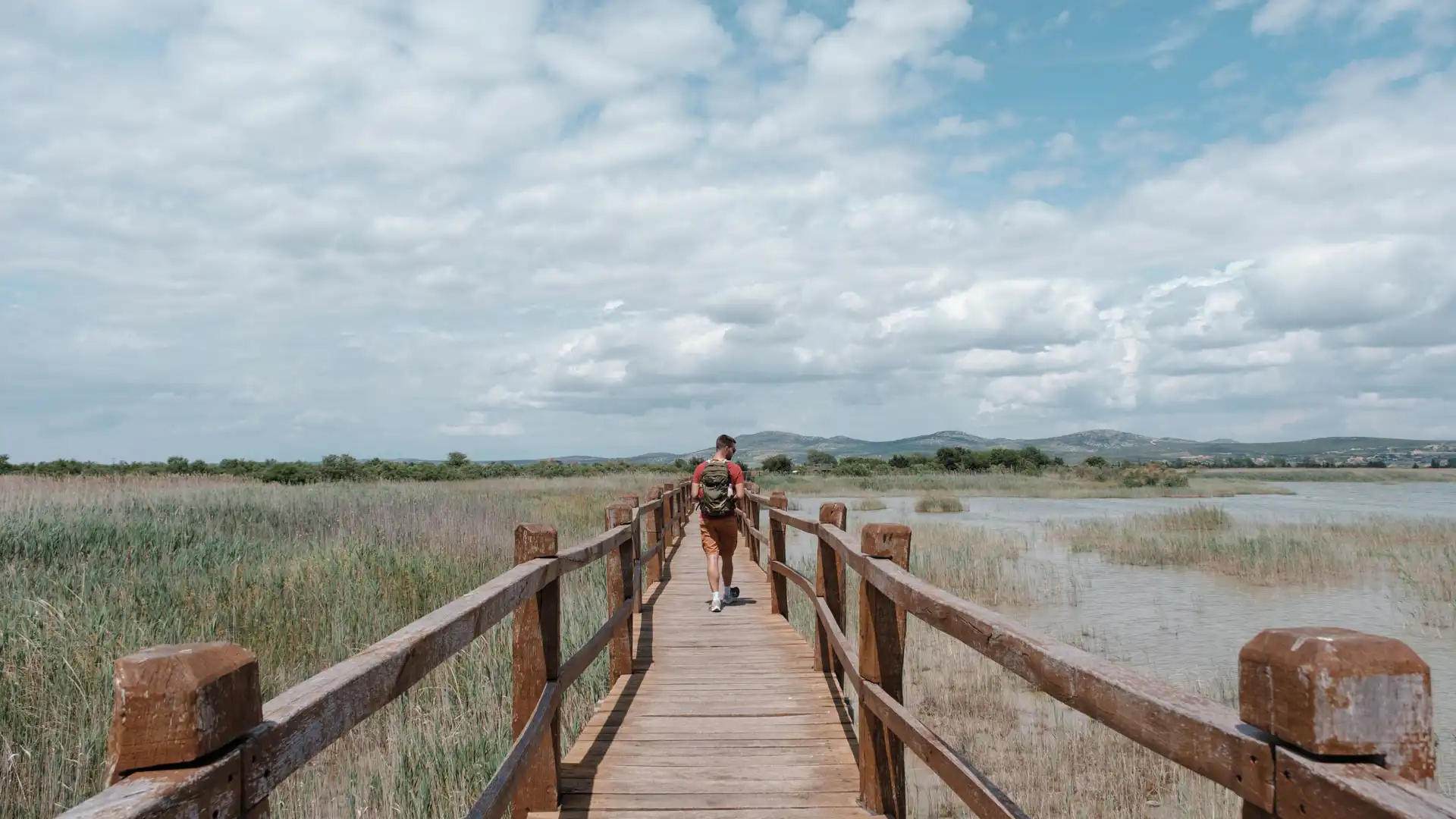 Réserve ornithologique du lac Vrana en Croatie