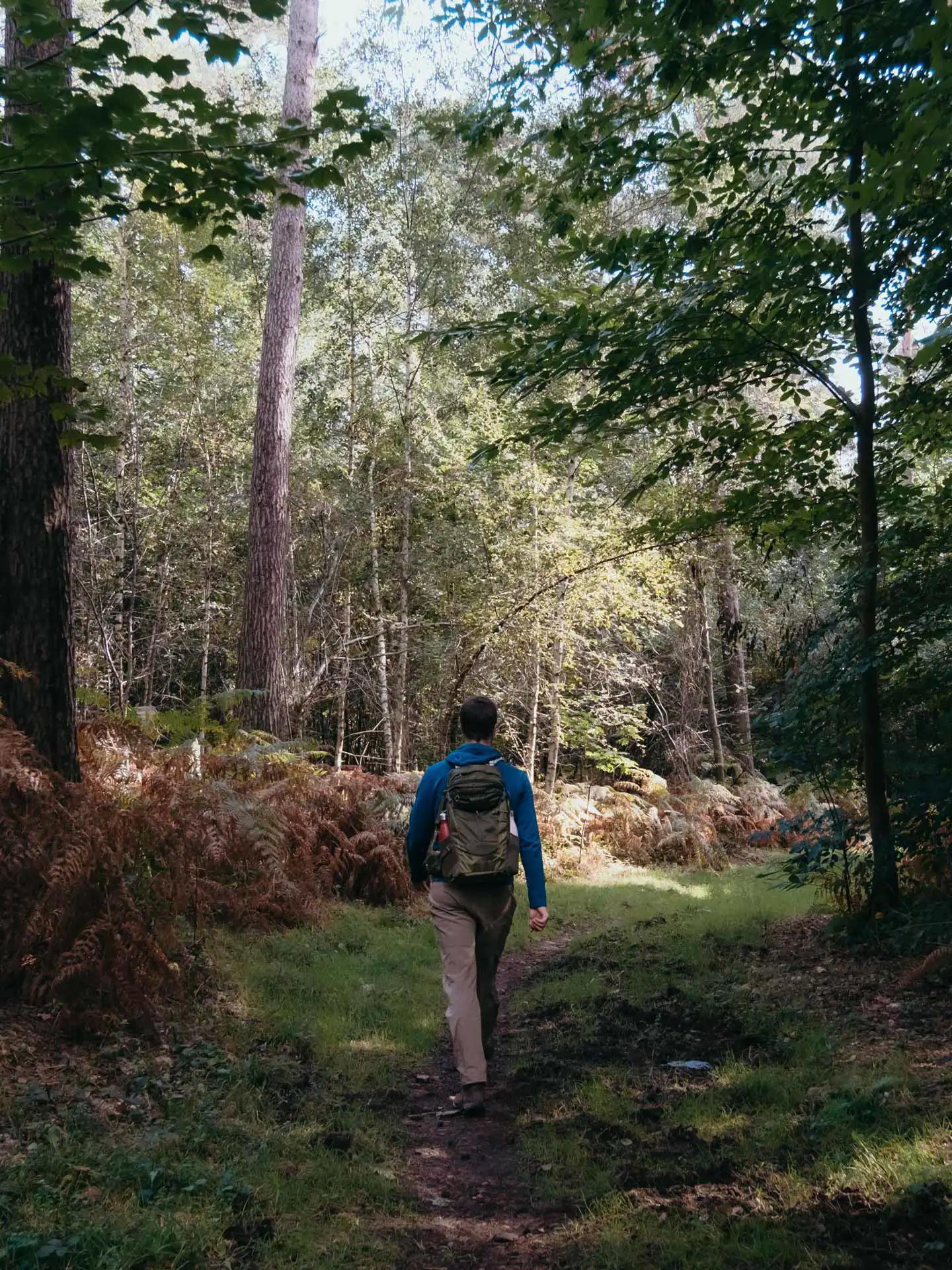 Romain marche dans le bois de Plaineveaux