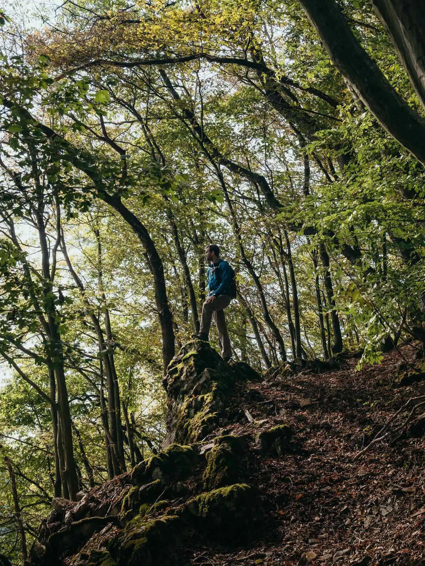 Romain sur un rocher dans le bois de Plaineveaux