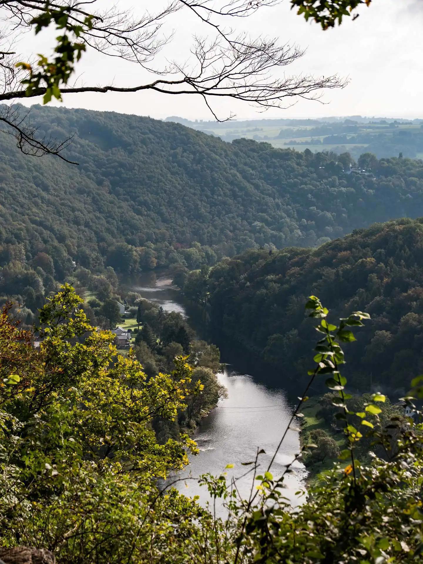 Vue sur l'Ourthe