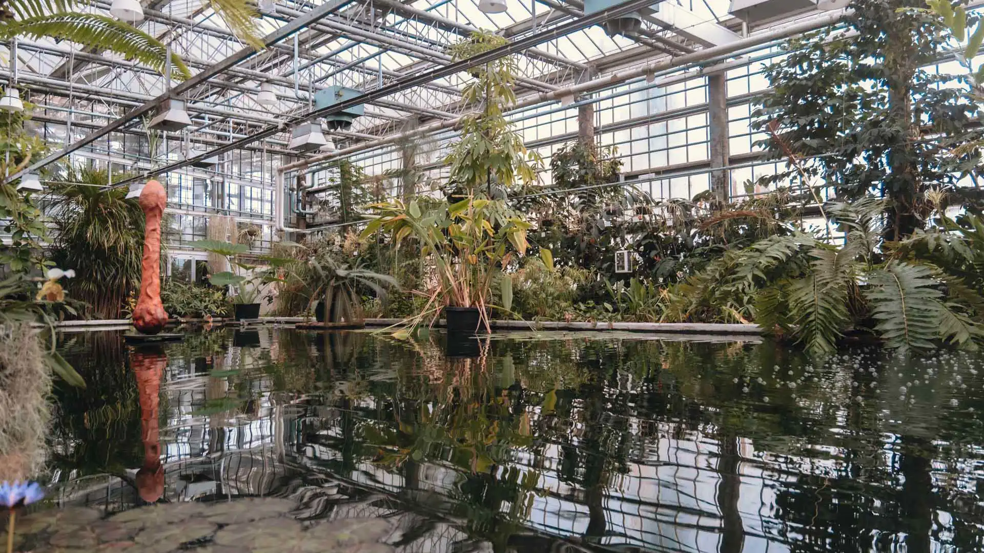 Serre du jardin botanique de Gand