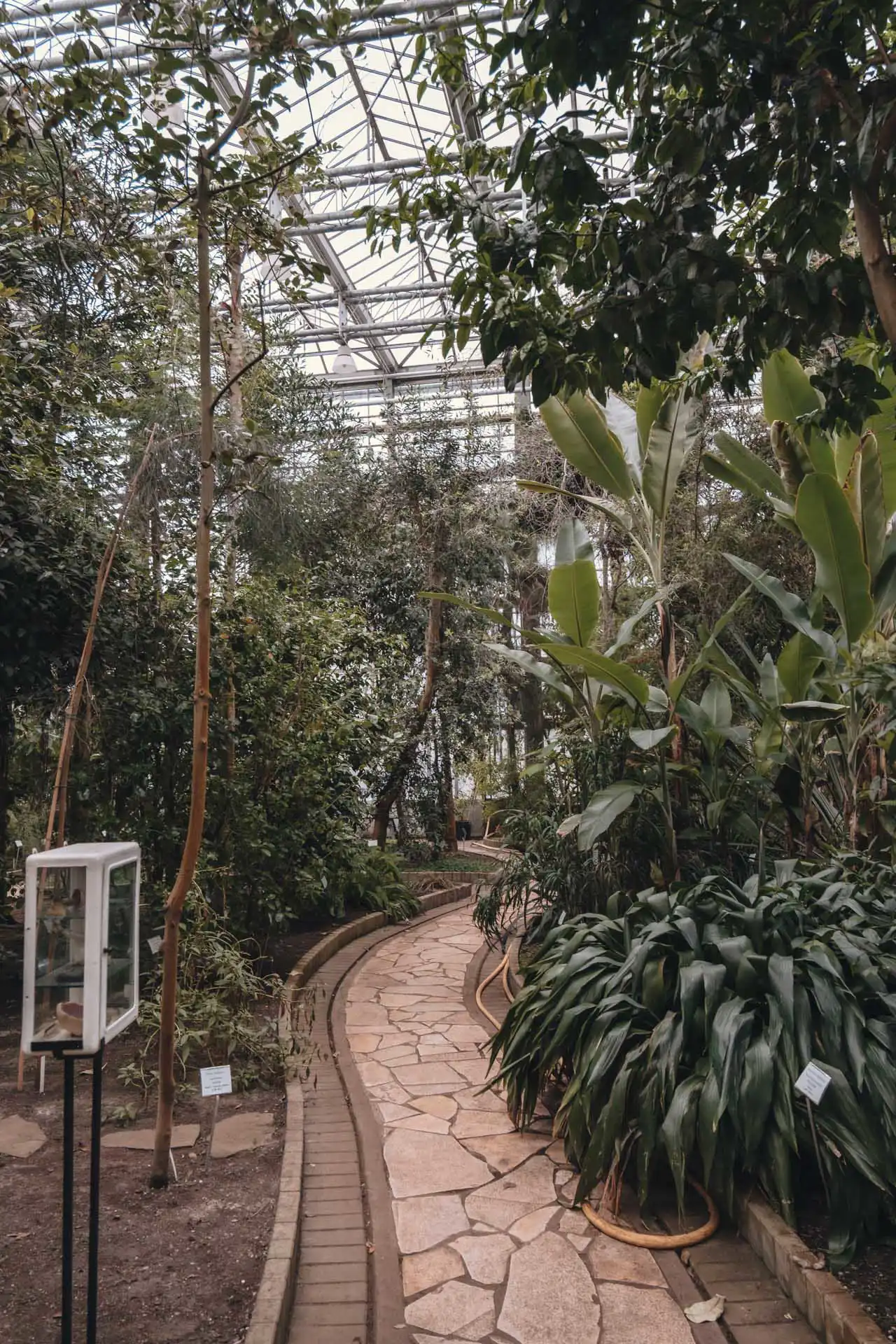 Allée du jardin botanique