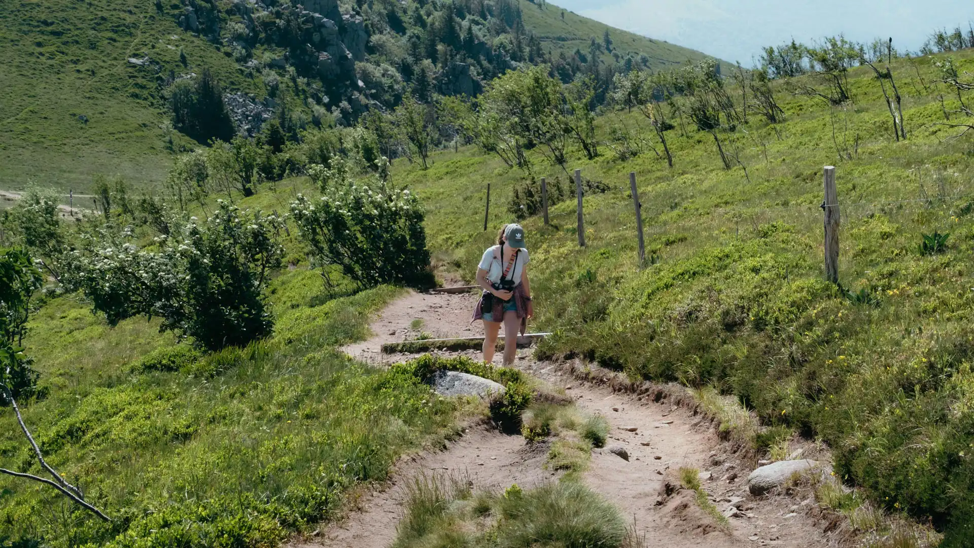 Randonnée au Hohneck dans le massif des Vosges