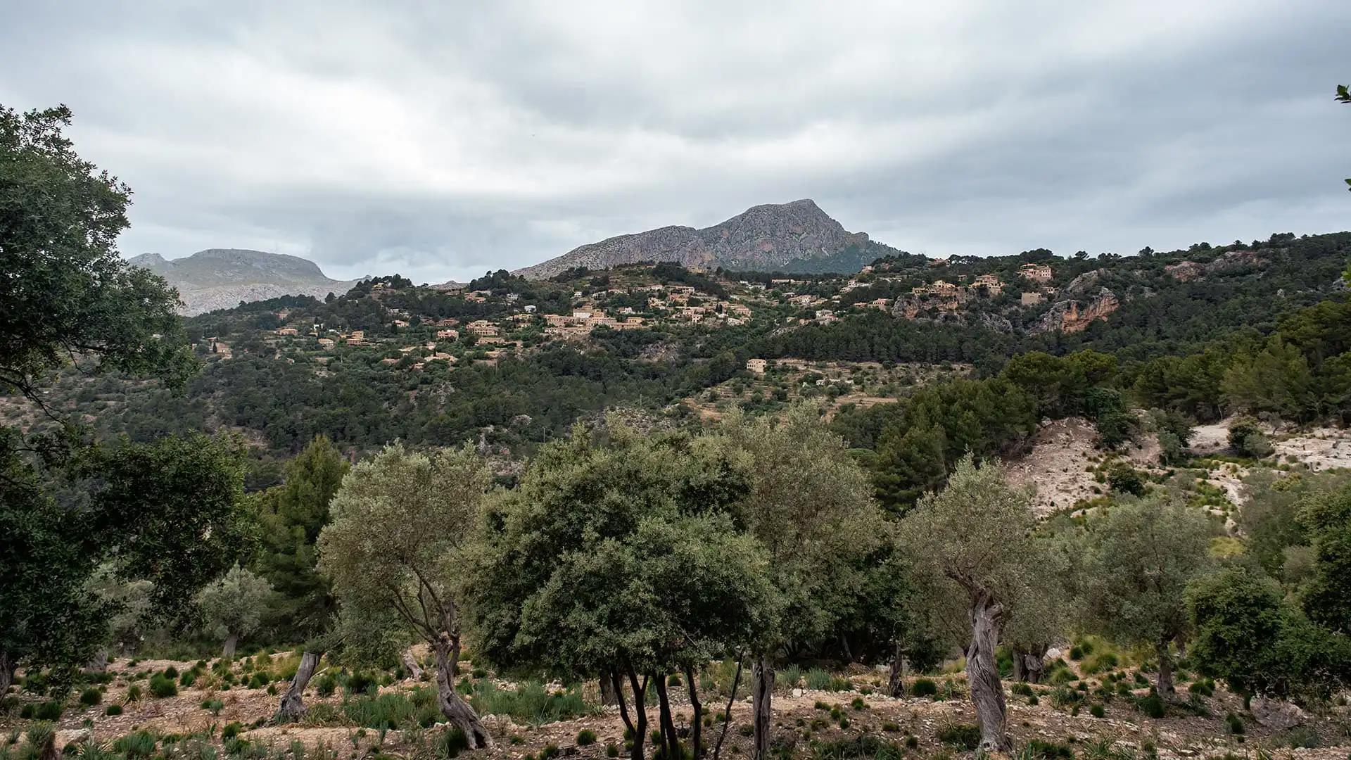 randonnée Puig de na bauçana