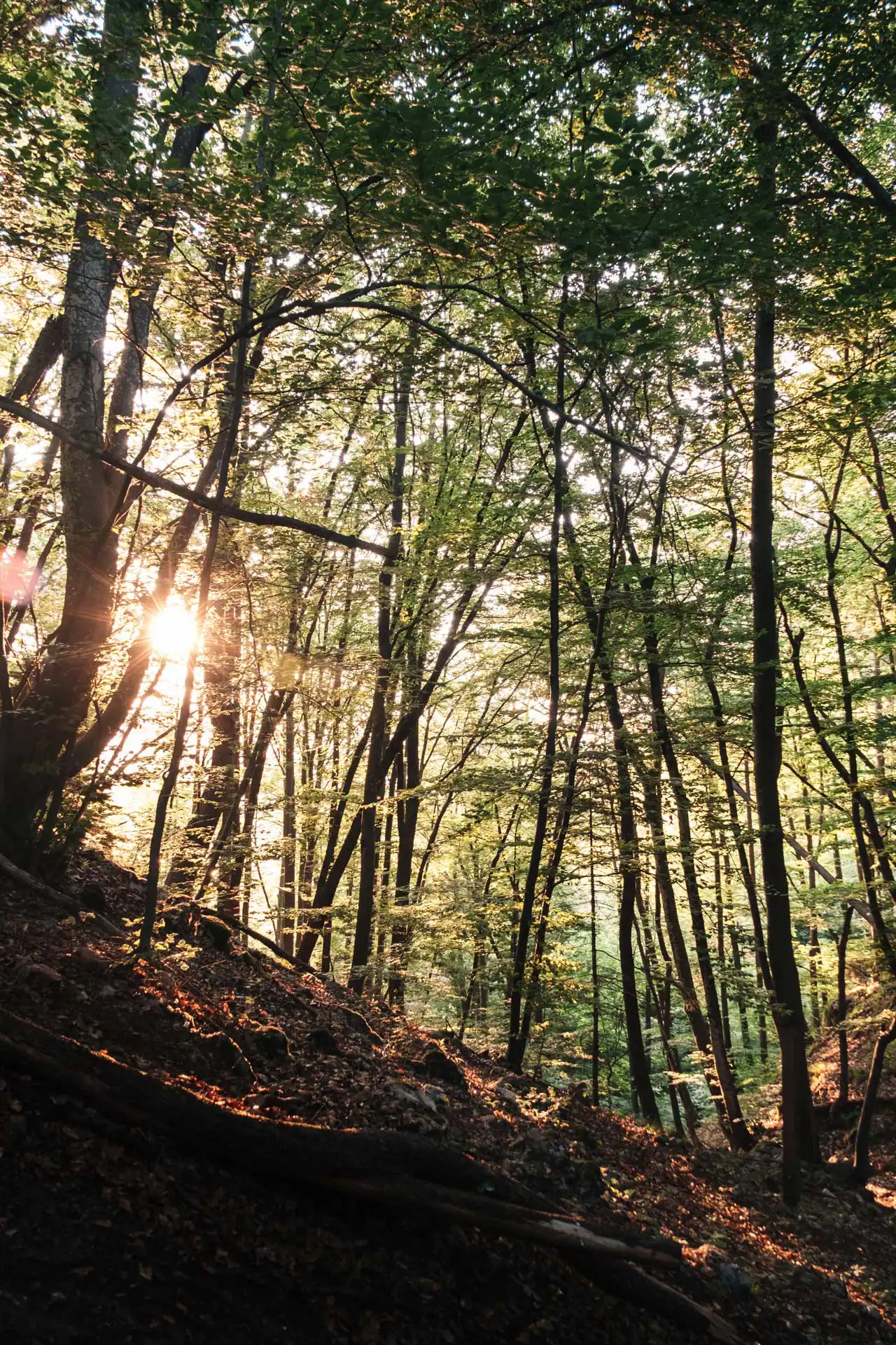 Randonnée Ojstrica à Bled en Slovénie