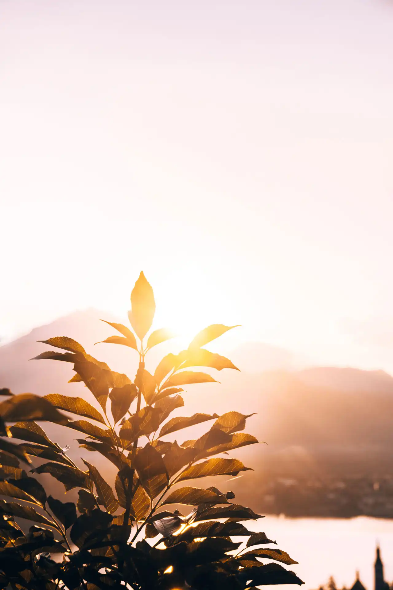 Lever de soleil sur le lac de Bled depuis le point de vue Ojstrica.