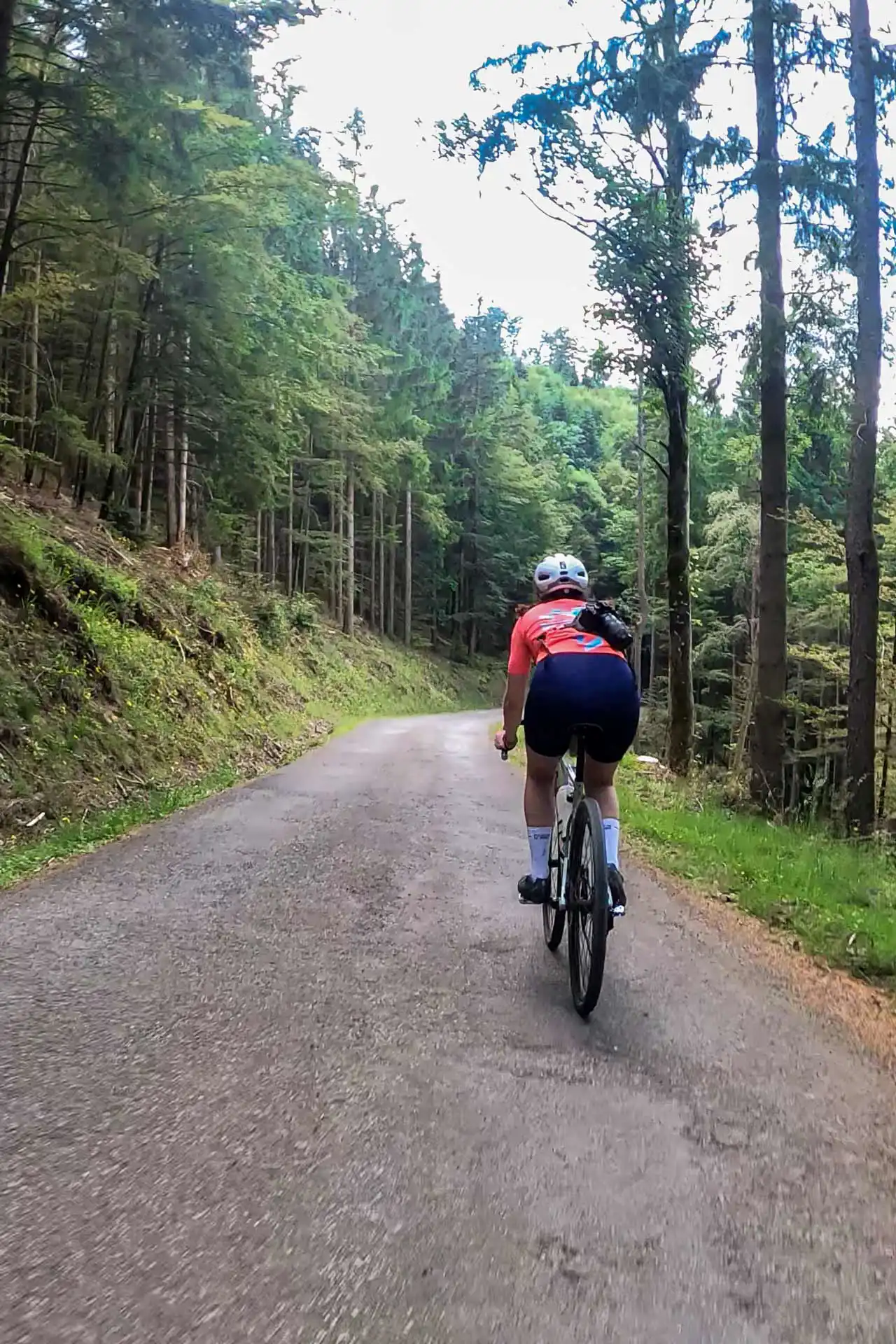 Descente de la route des crêtes