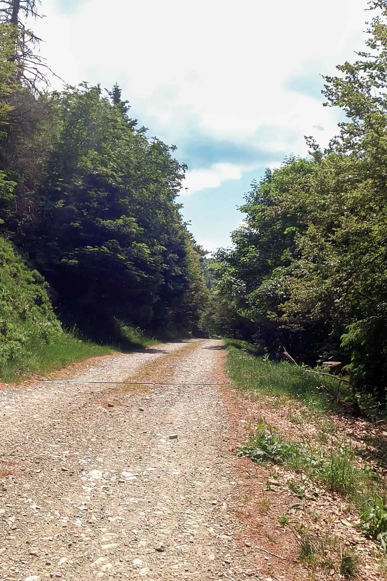 Descente de la route des crêtes