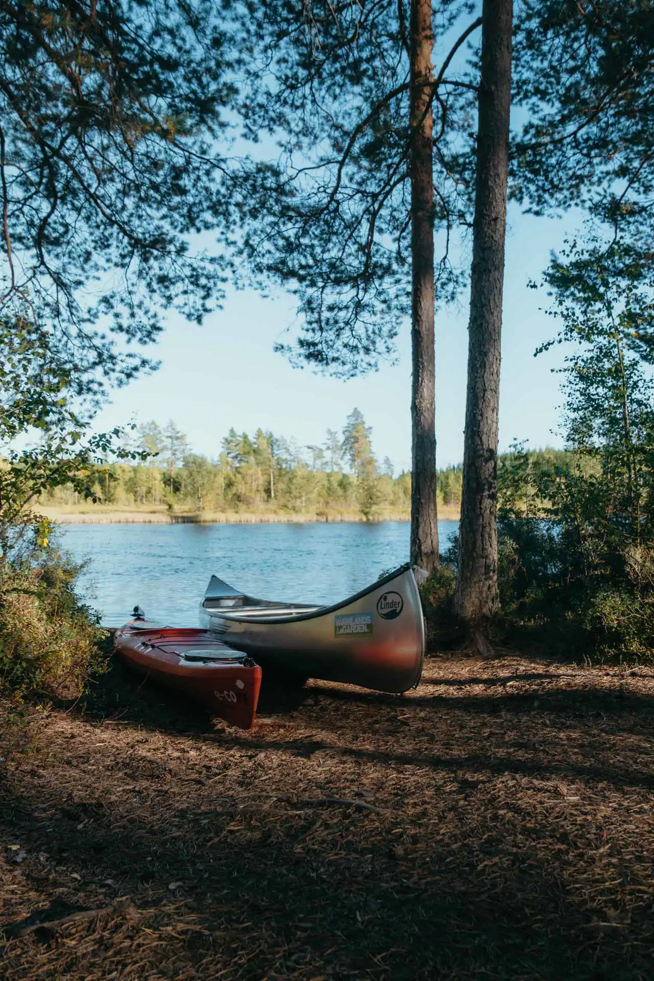 Canoe dans une foret canoe trip