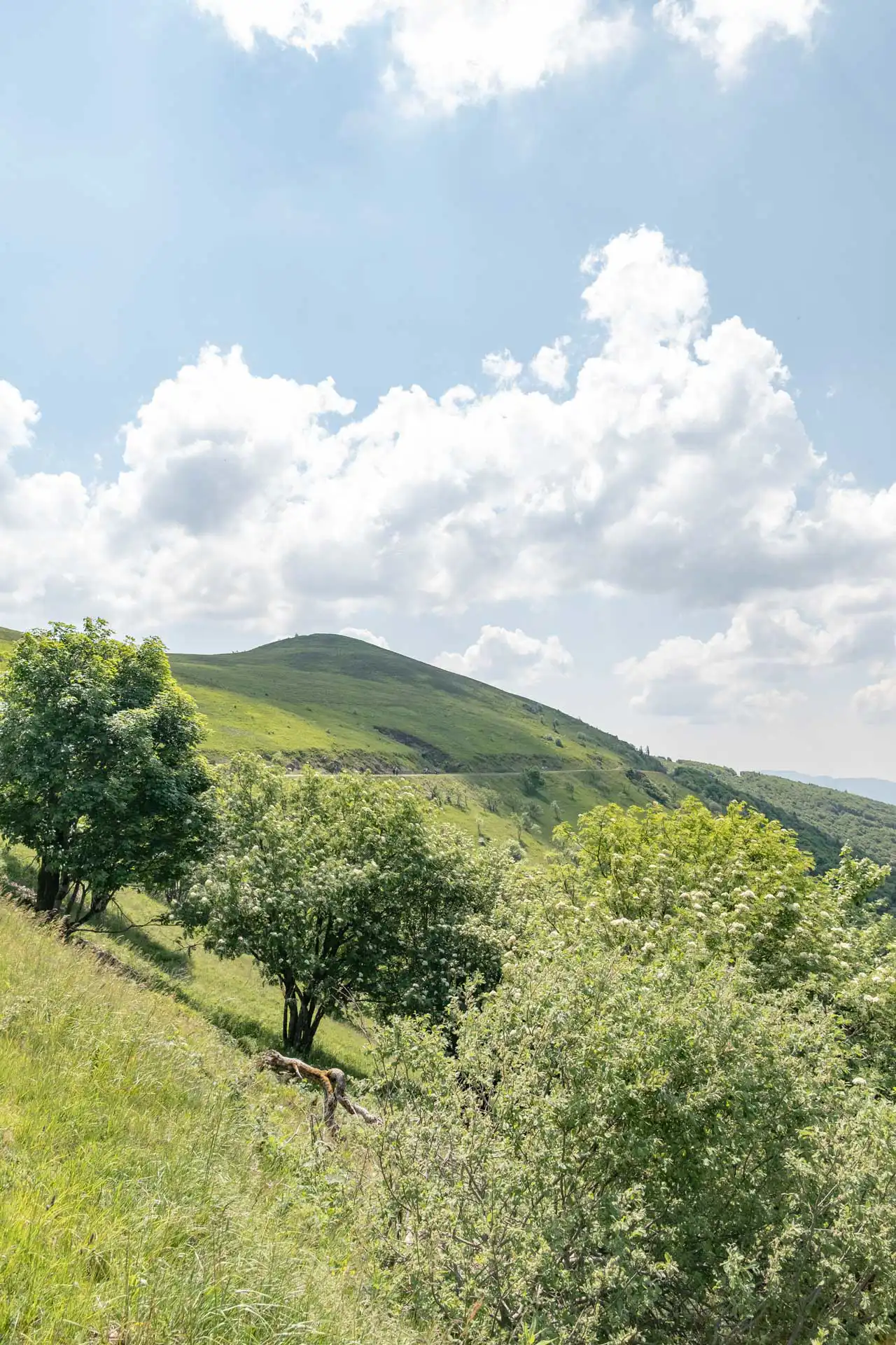 La route des crêtes