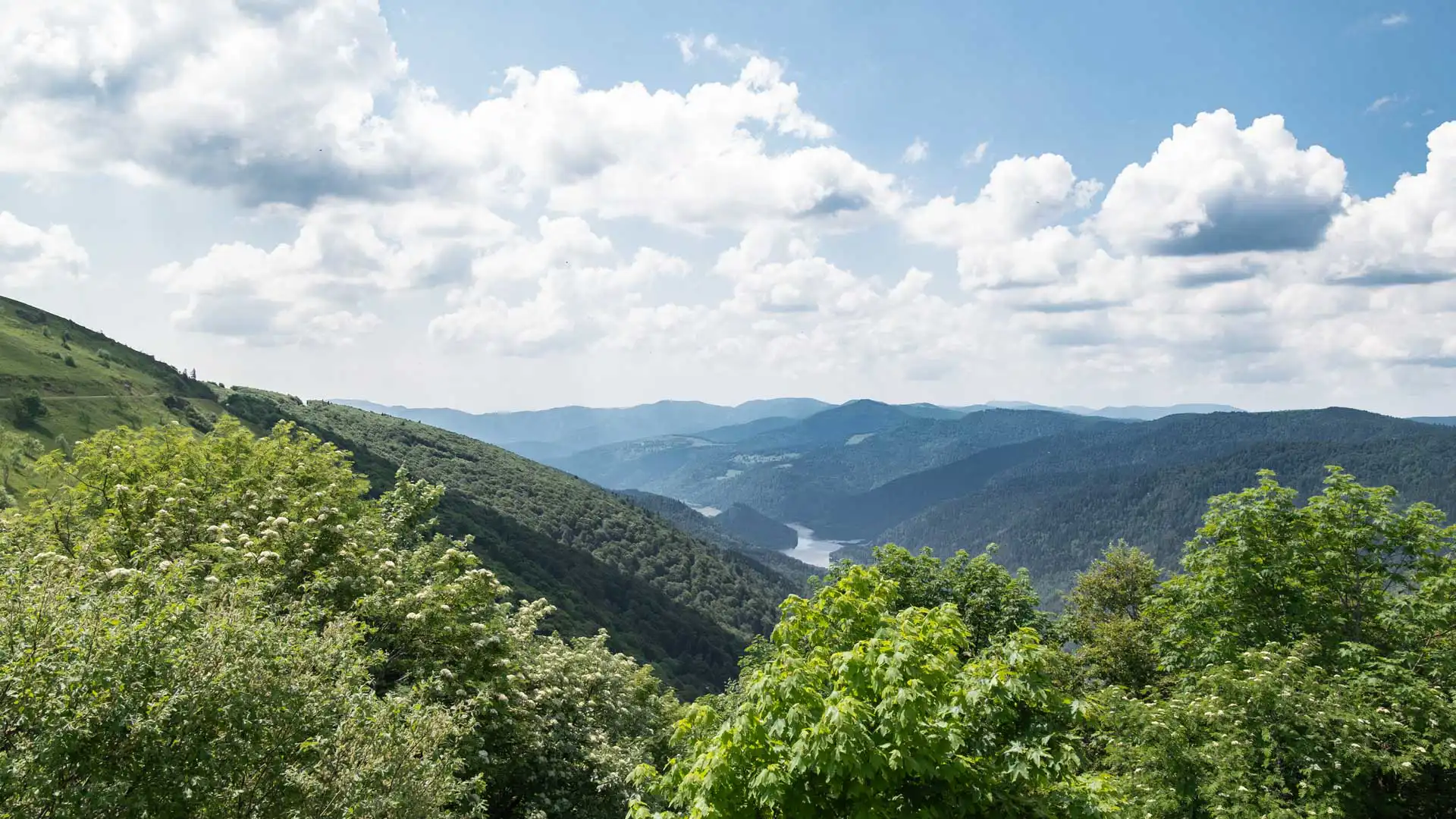 La route des crêtes